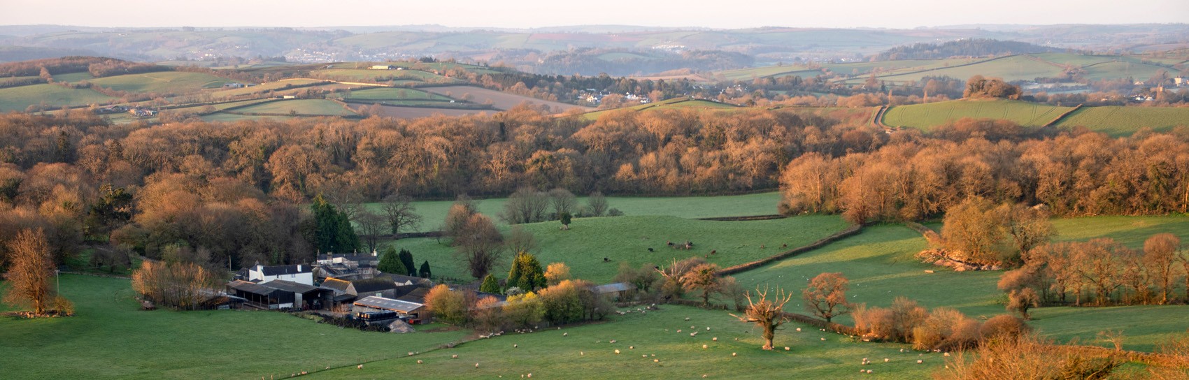 A countryside scene in Devon. Photograph by ALEX GRAEME