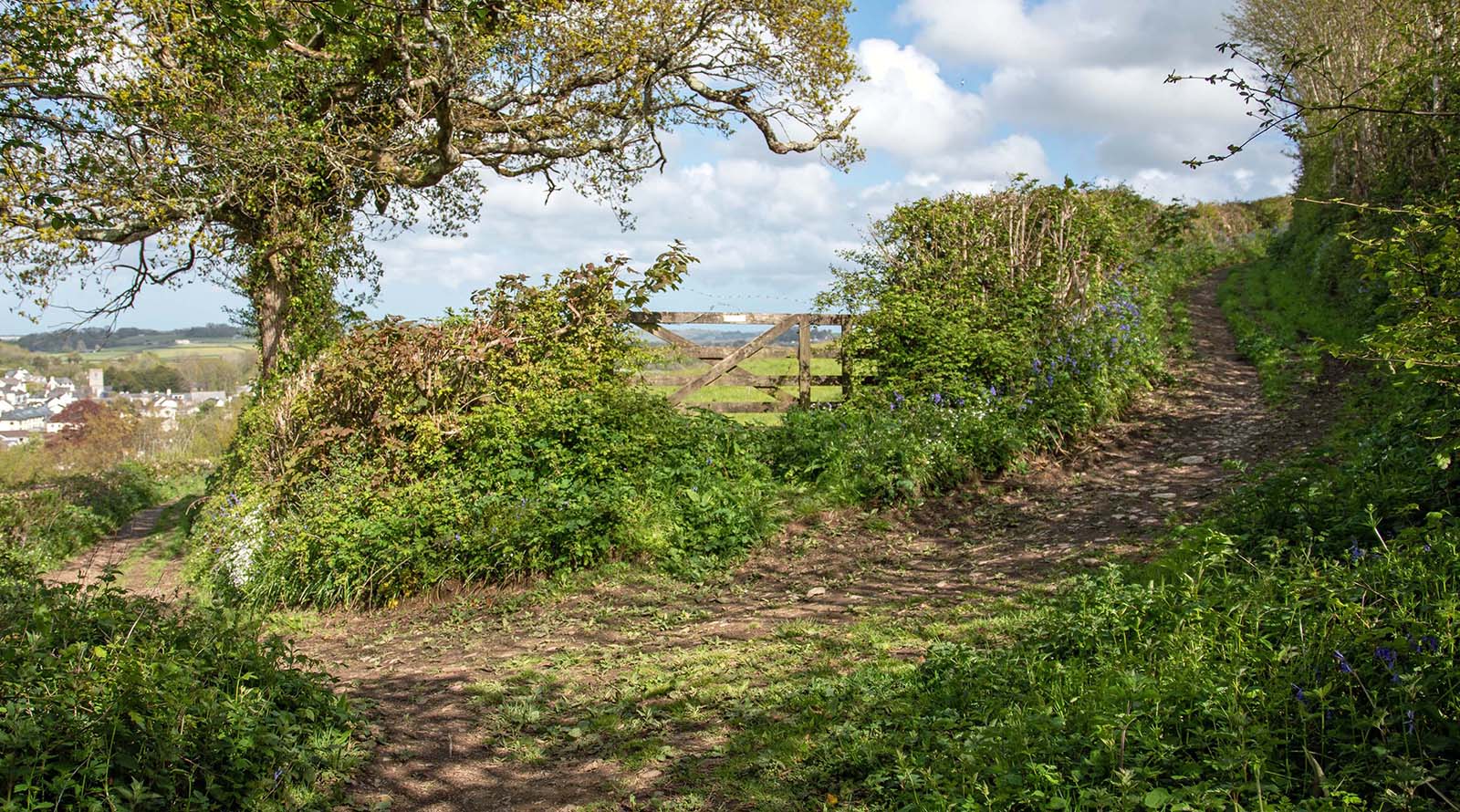 A gateway near Denbury in Devon