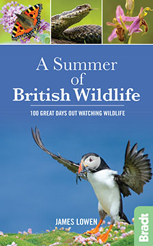 Bradt guide: Summer of Wildlife