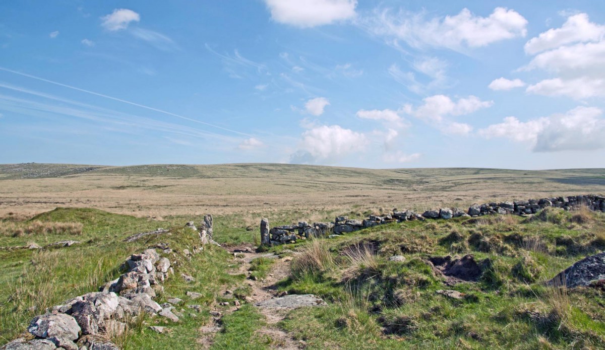 The view across Fox Tor Mire near Whiteworks