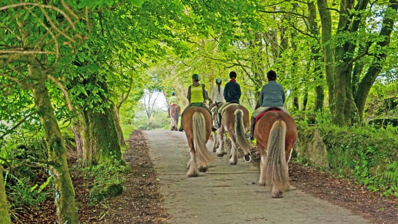 Horseriding down a Dartmoor lane