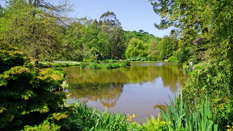 Marwood Hill Gardens in North Devon