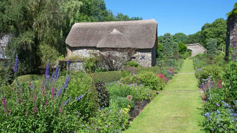 Summertime beauty at the Garden House in Devon