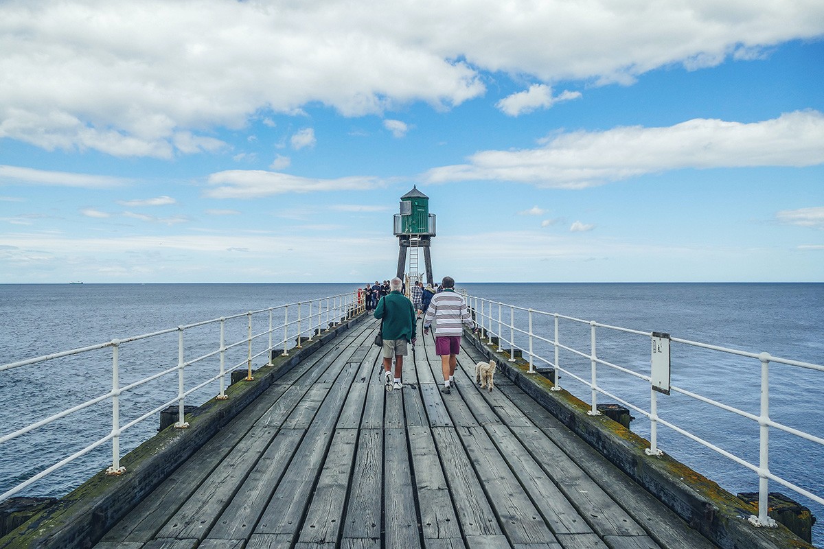 Dog on Whitby Pier