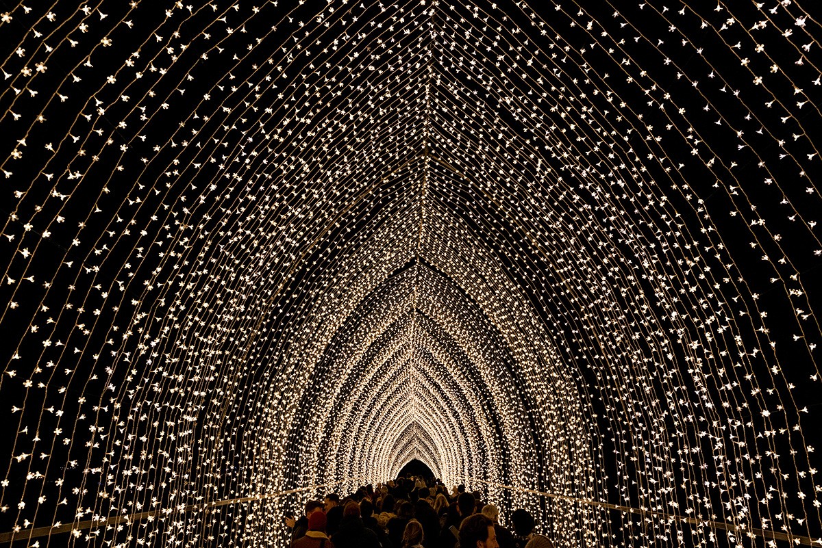 Kew Gardens Christmas lights trail