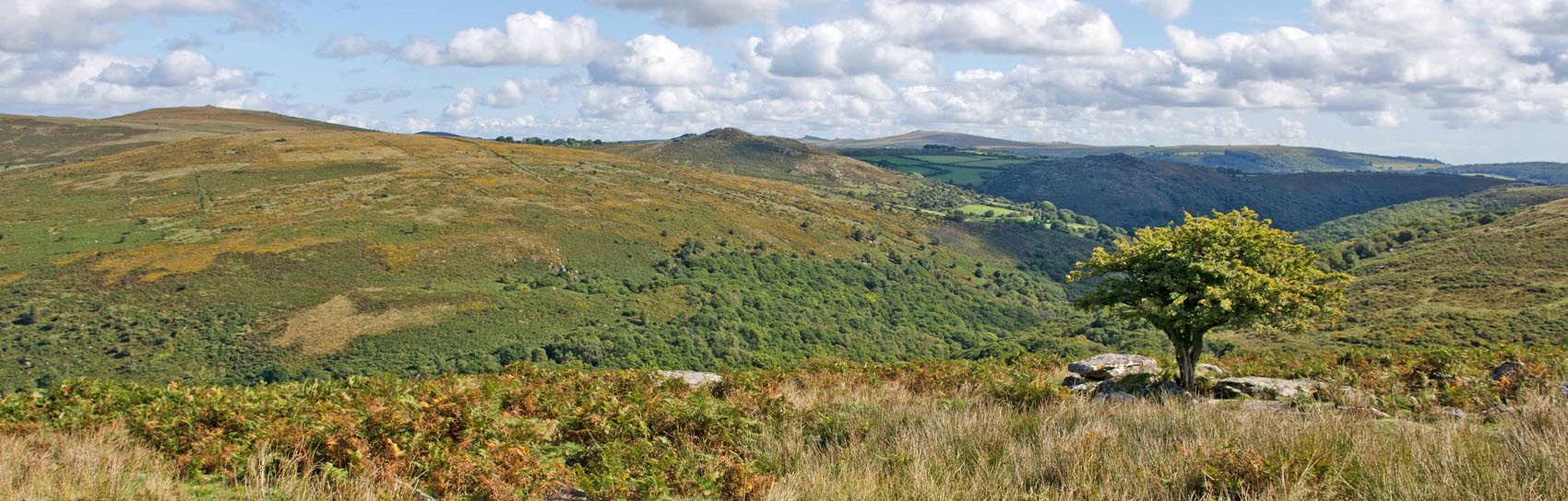 A view across Dartmoor from Combestone Tor. Photograph by ALEX GRAEME