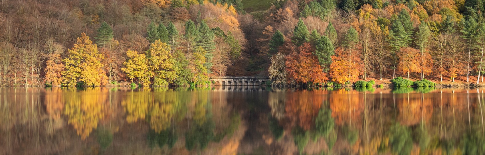 Autumn Reflections Derwent Reservoir. Photograph by MATT HILLIER