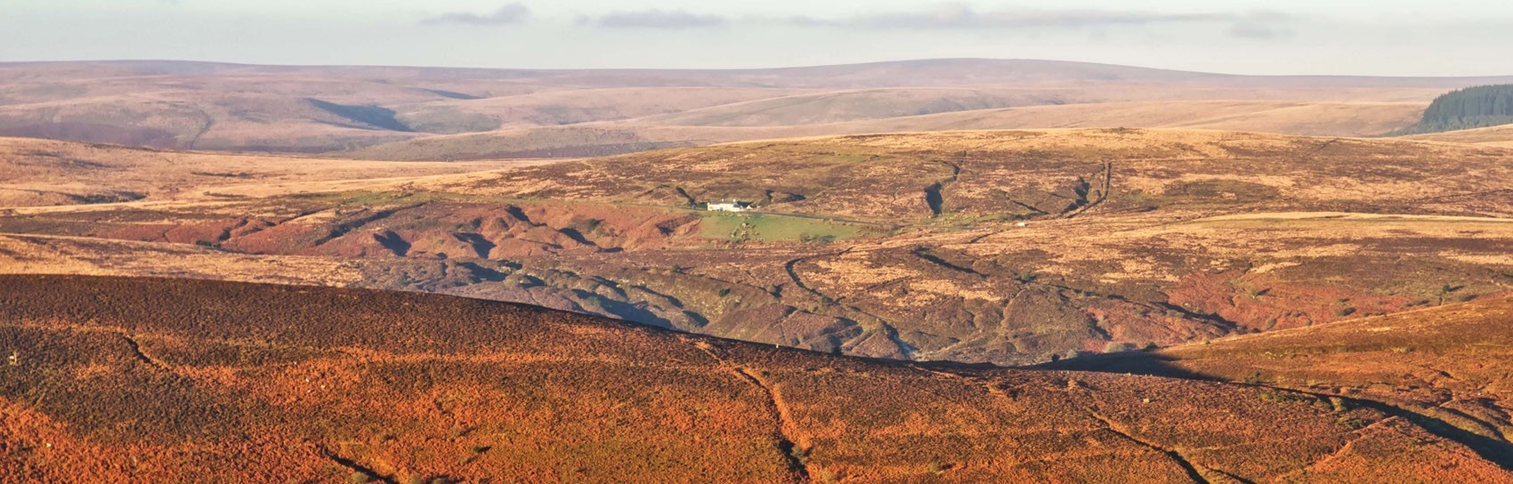 Dartmoor as viewed from Hameldown. Photograph by ALEX GRAEME